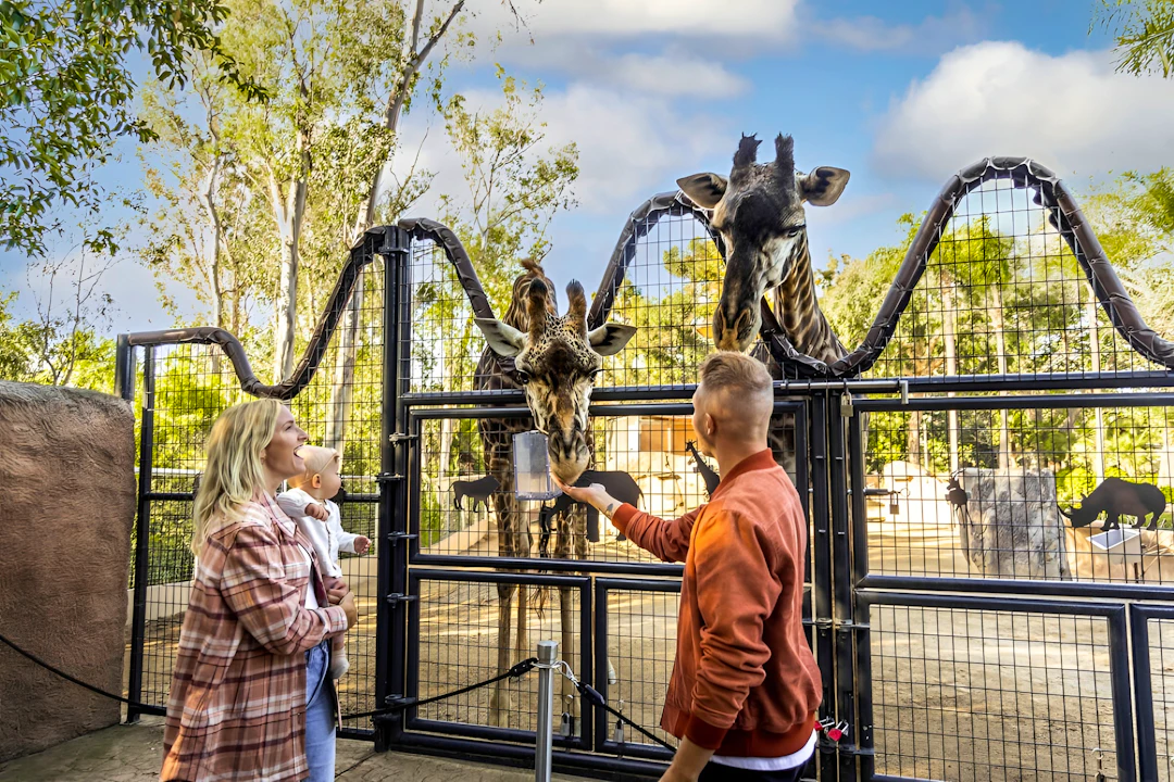 Go City Los Angeles All-Inclusive Pass Plus: Save up to 50% on Attractions Discount